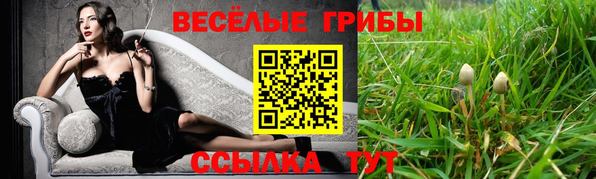 Горячий Ключ  цена наркотик  Вход с VPN  Псилоцибиновые грибы GOLDEN TEACHER 