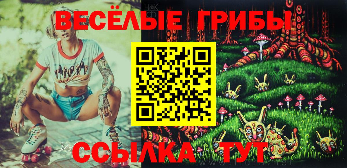 Галлюциногенные грибы Psilocybine cubensis Горячий Ключ